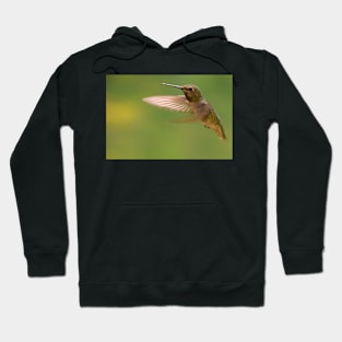 Hummingbird Hoodie